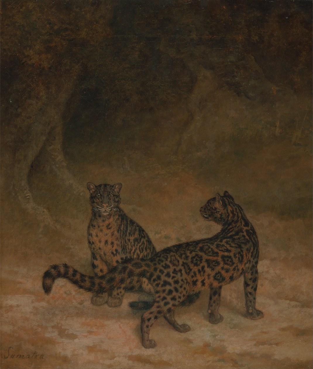 Léopards nébuleux - Jacques Laurent Agasse