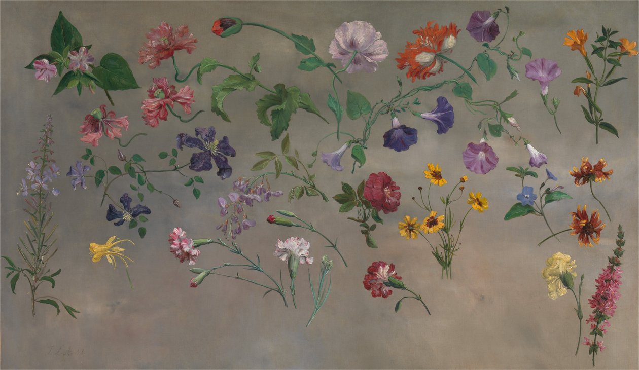 Études de fleurs - Jacques Laurent Agasse