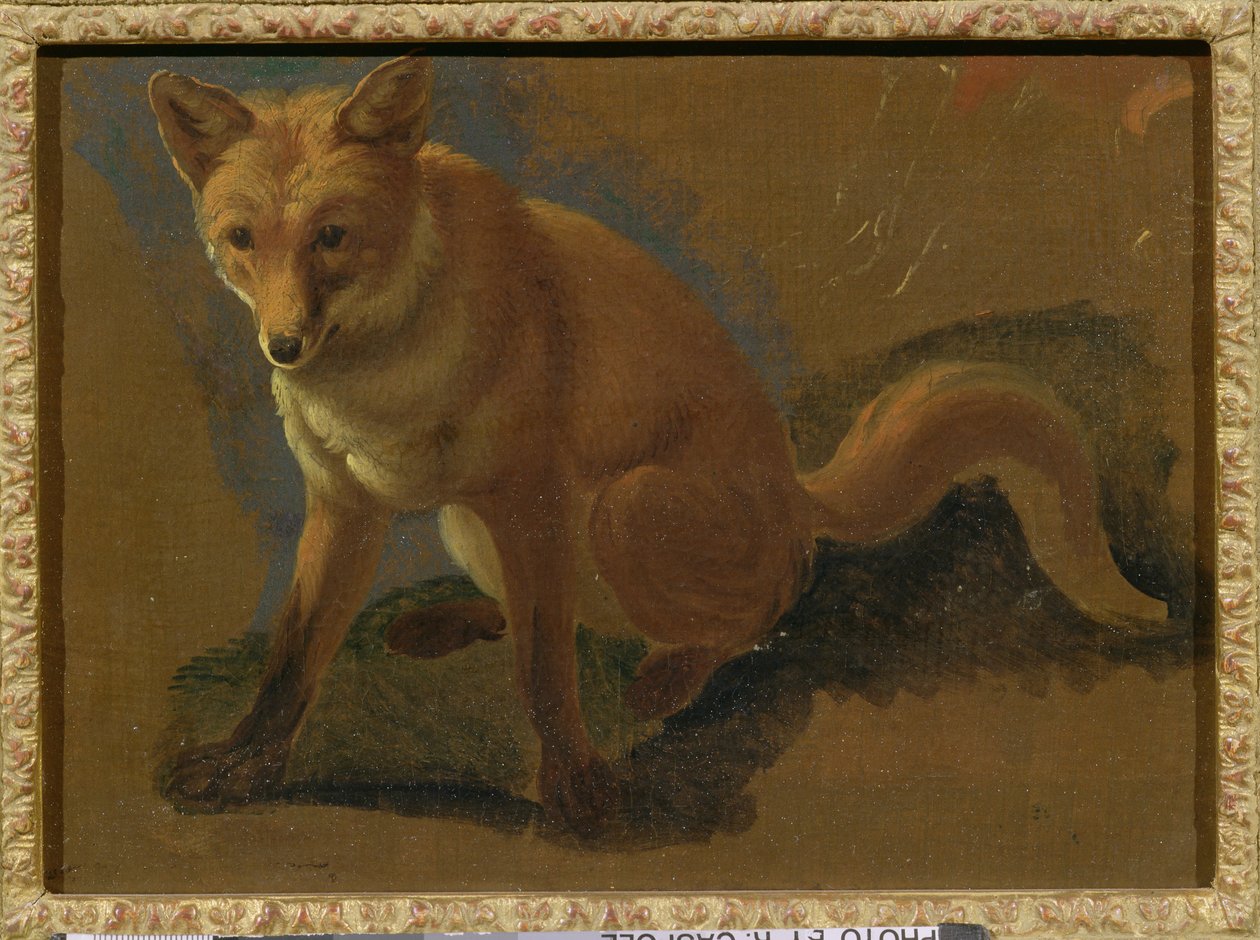 Étude d