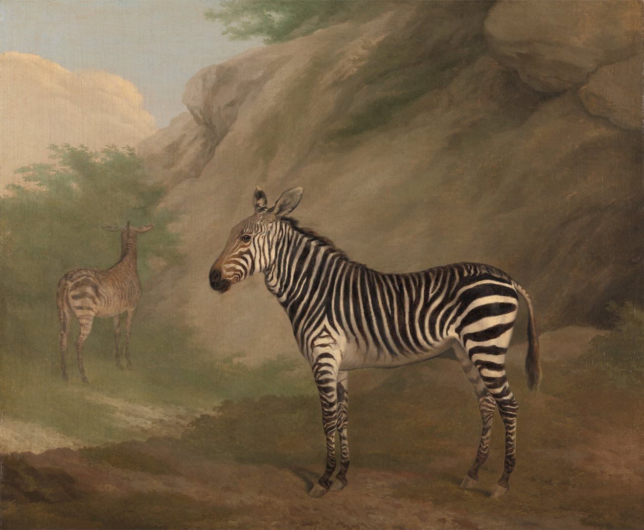 Zèbre - Jacques Laurent Agasse