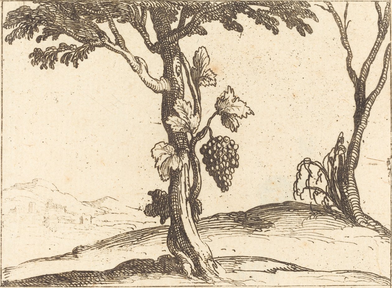 Grappe de raisins - Jacques Callot
