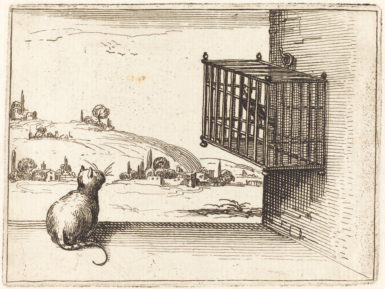 Chat regardant un oiseau en cage - Jacques Callot