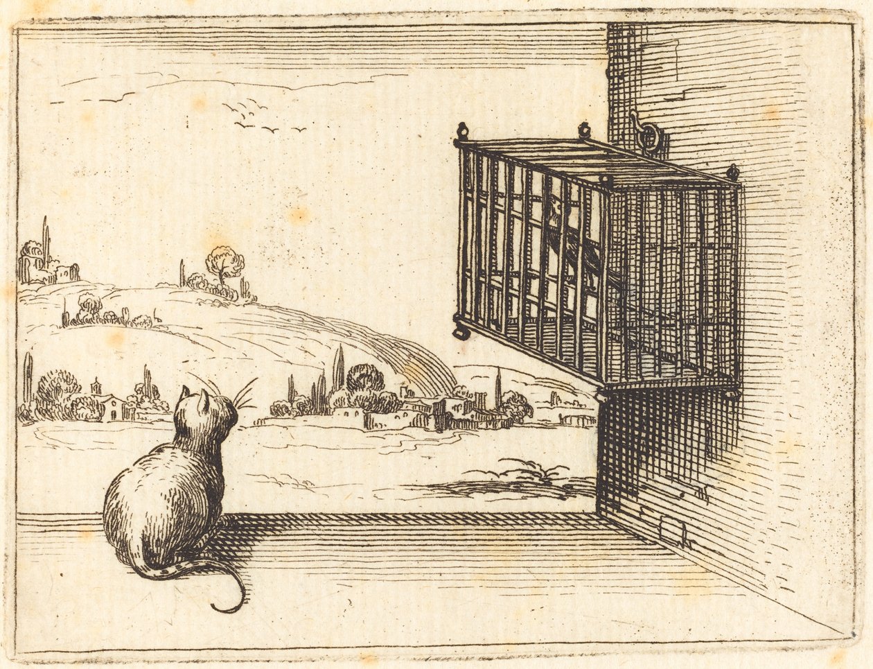 Chat regardant un oiseau en cage - Jacques Callot