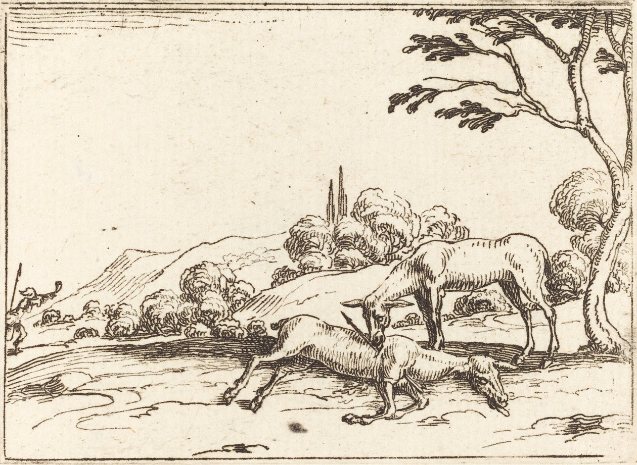 Biche pleurant son poulain - Jacques Callot