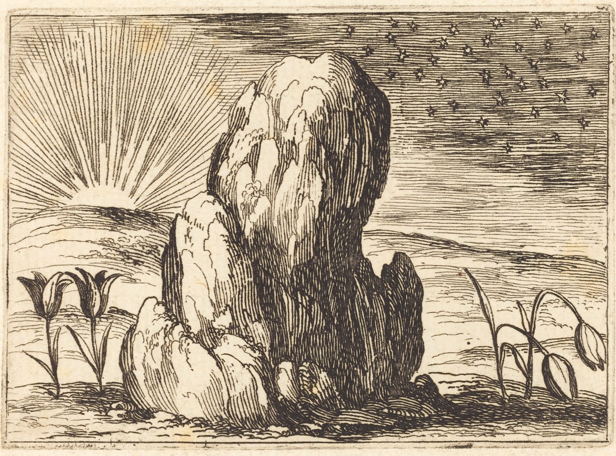Les tulipes et le soleil - Jacques Callot