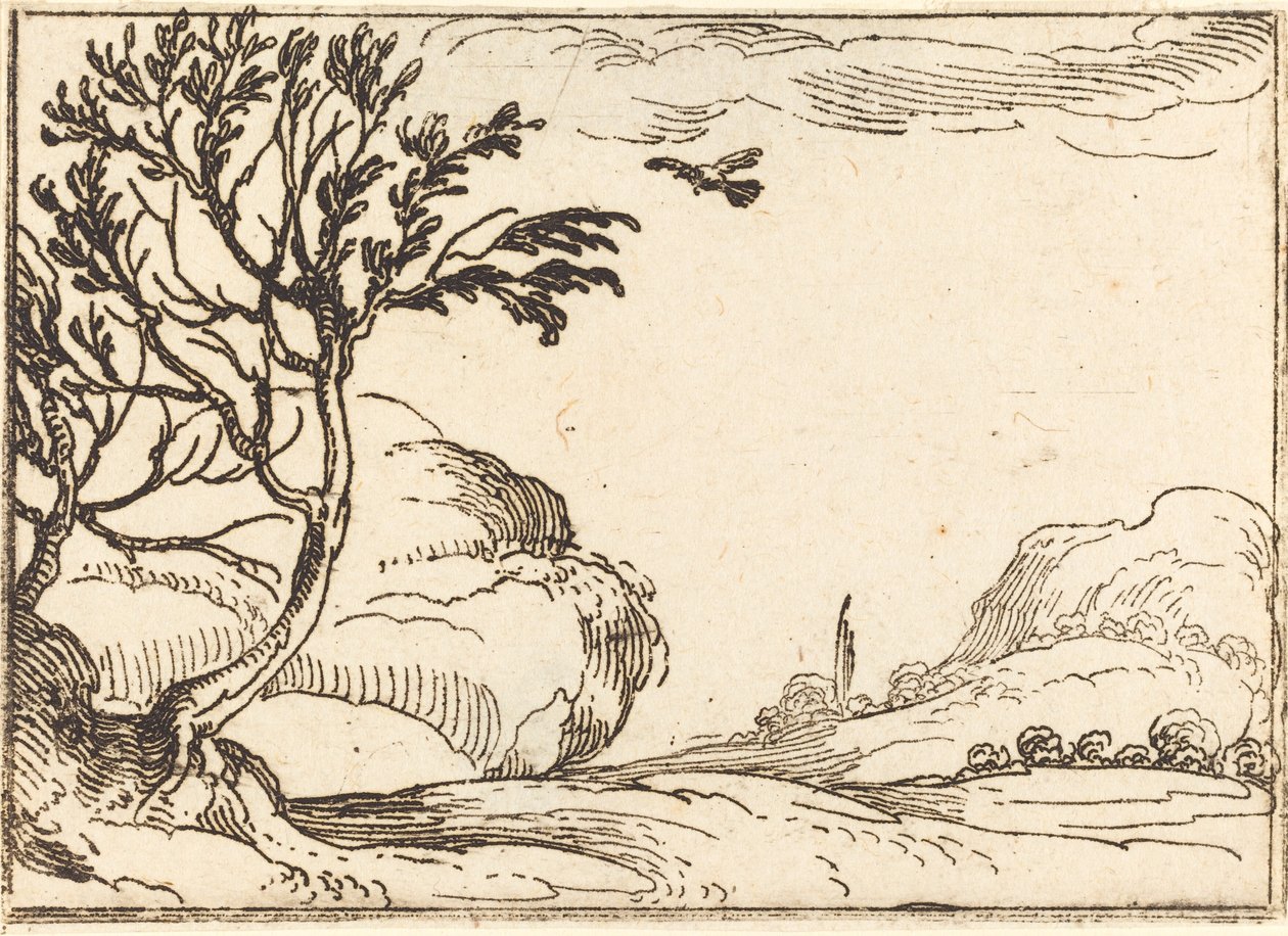 Tourterelle volant dans le désert - Jacques Callot