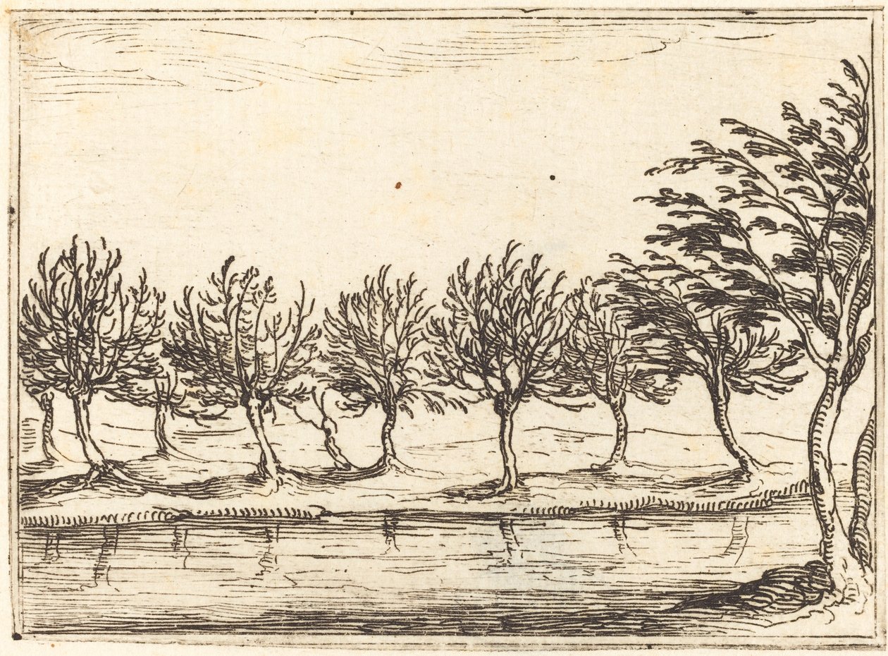 Saules au bord de l