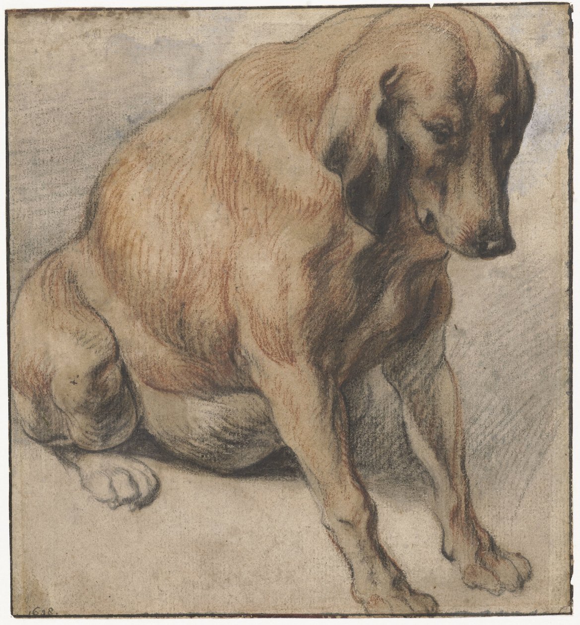 Chien assis - Jacques Jordaens