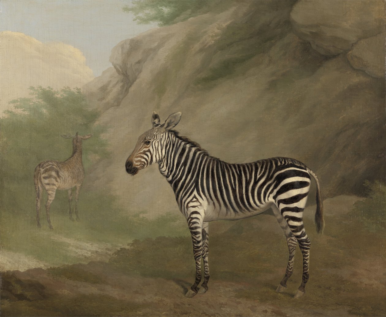 Zèbre - Jacques Laurent Agasse