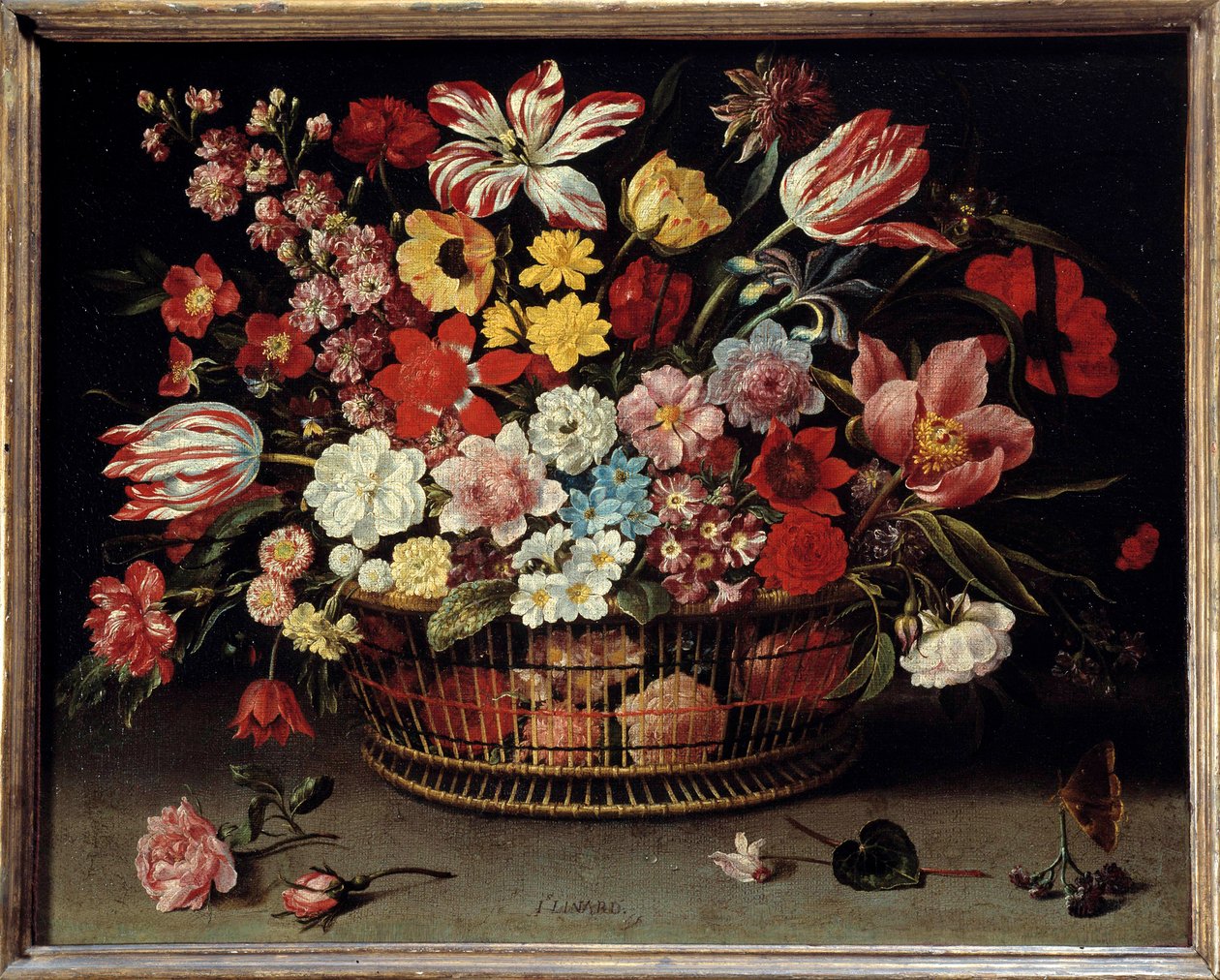 Panier de fruits. Peinture par Jacques Linard (1600-1645) - Jacques Linard