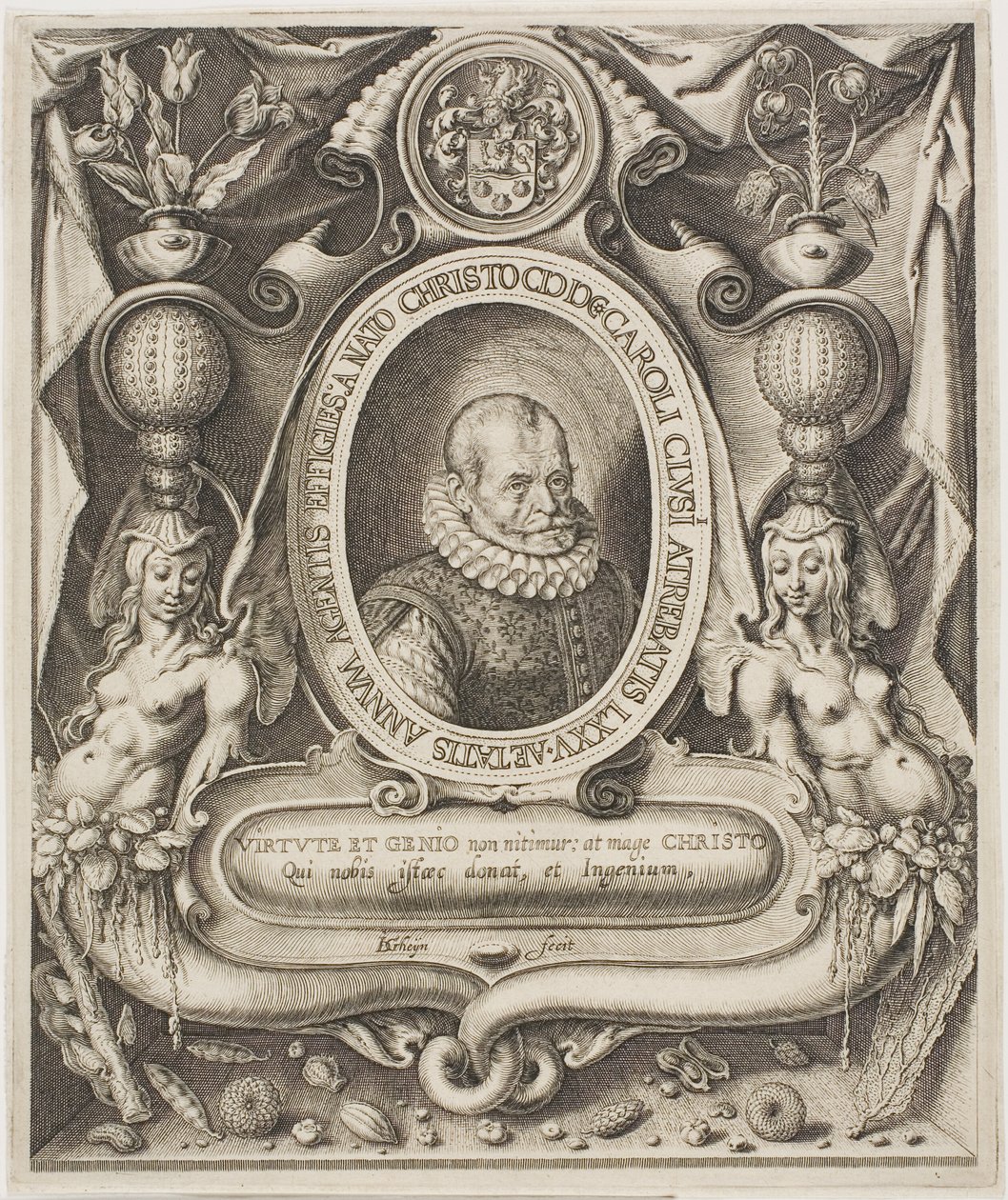 Carolus Clusius - Jacques de Gheyn II