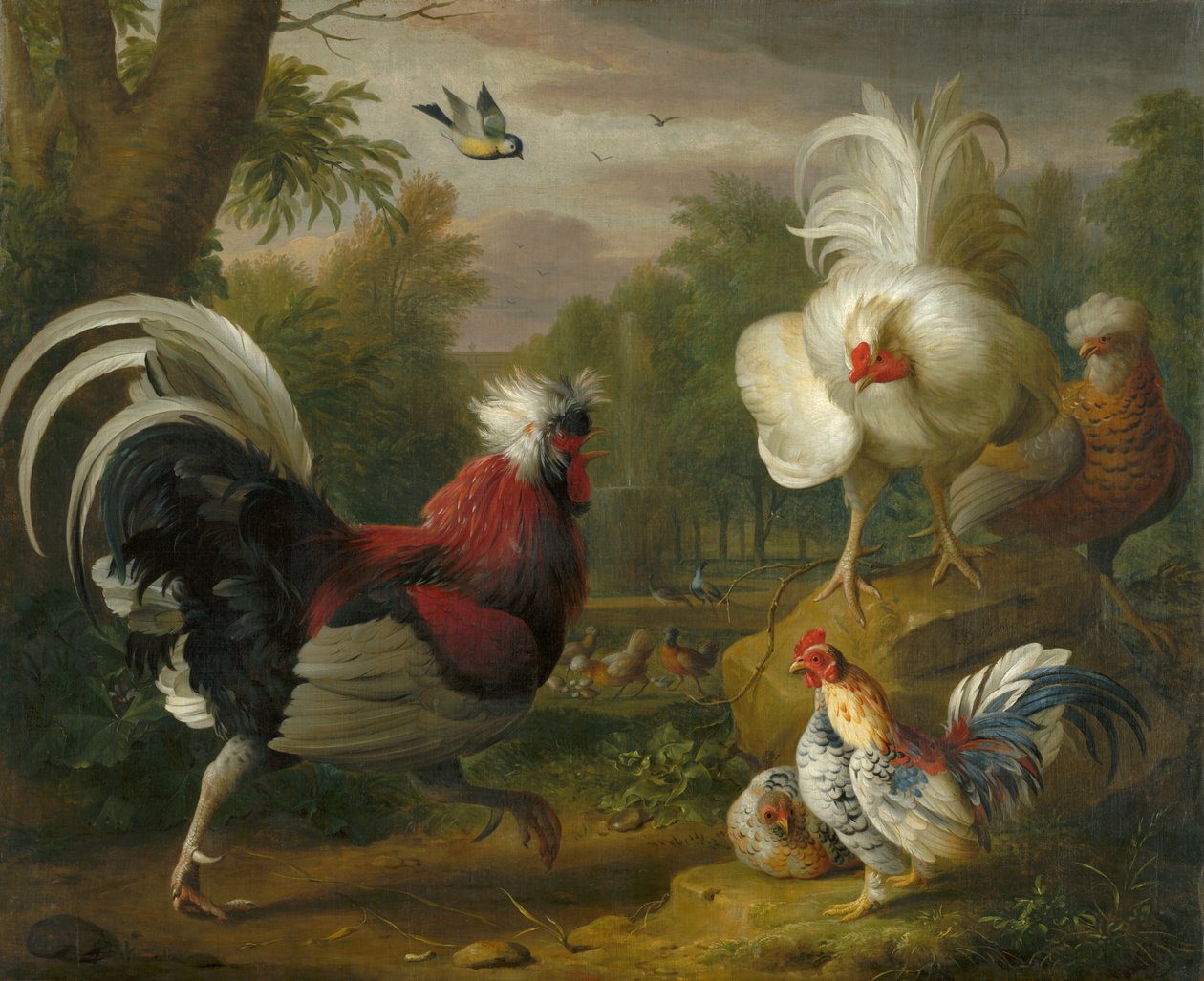 Le combat de coqs - Jakob Bogdani or Bogdany