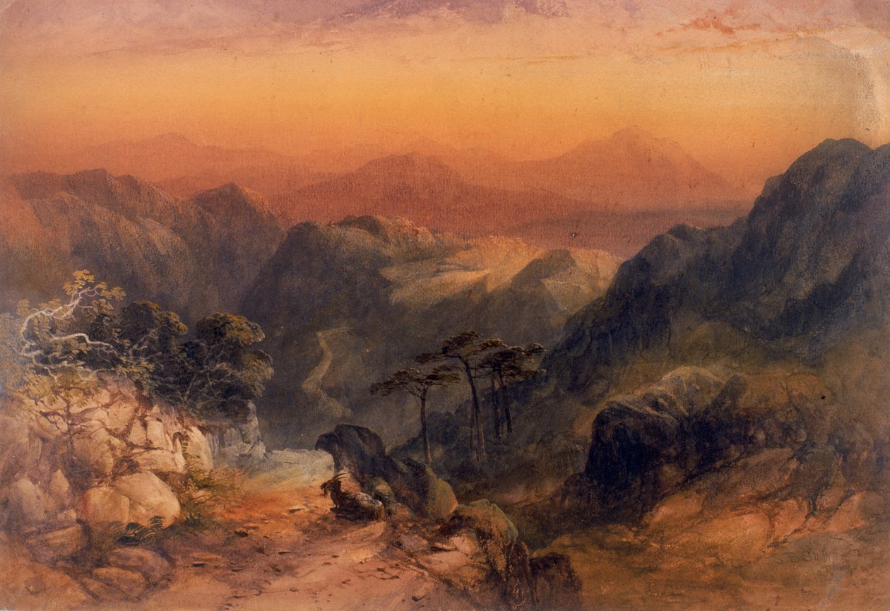 Paysage montagneux - James Burrell Smith