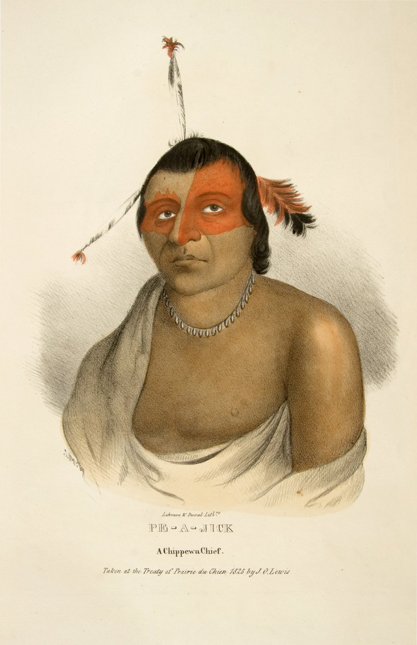 Pe-a-jick - James Otto Lewis