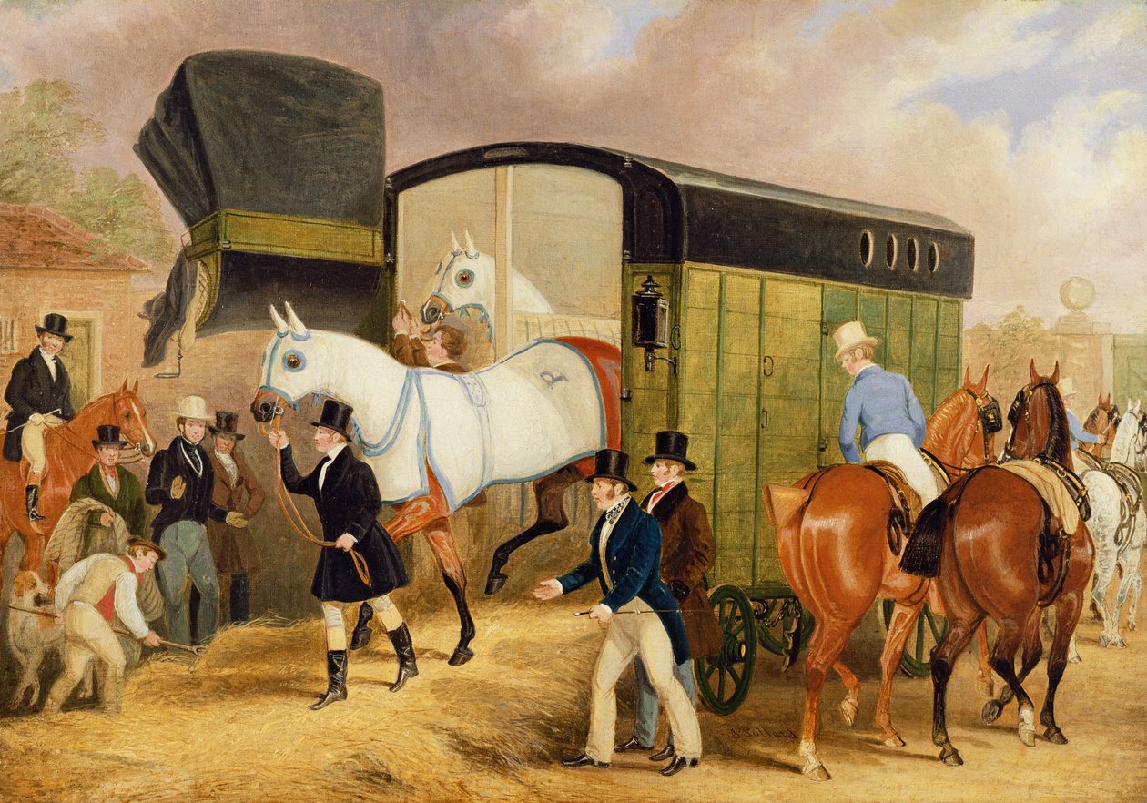Les animaux de compagnie du Derby : L