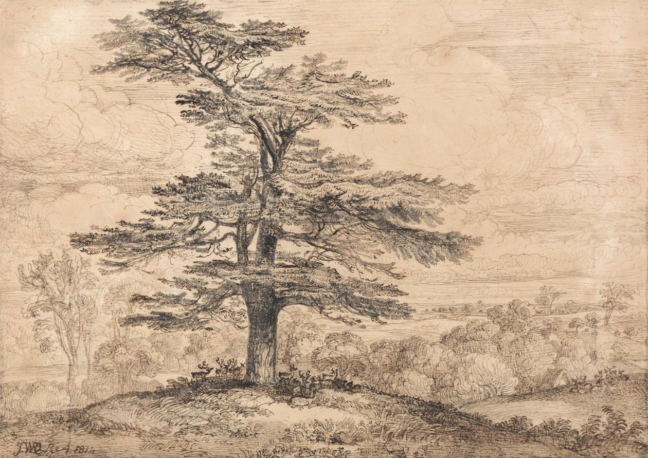 Un cèdre sur une colline avec un troupeau de cerfs groupés sous son ombre - James Ward