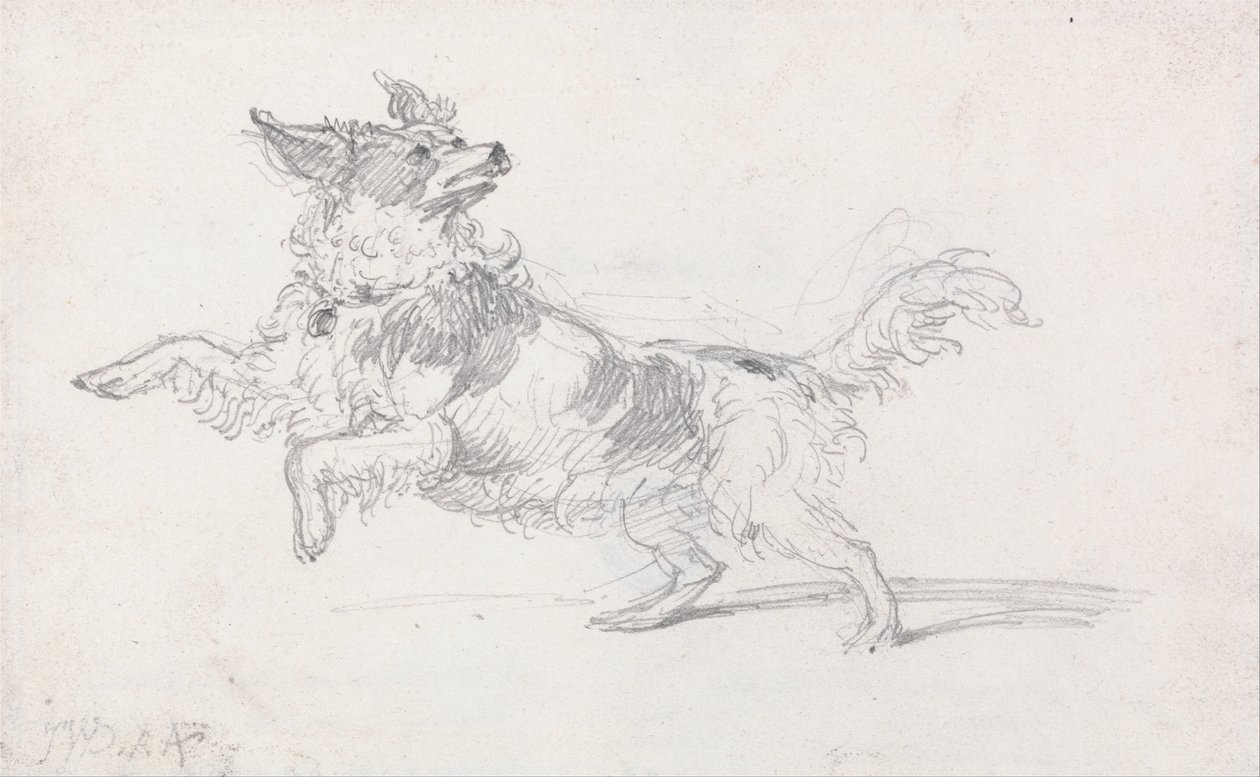 Le chien de Lady Londonderry - James Ward