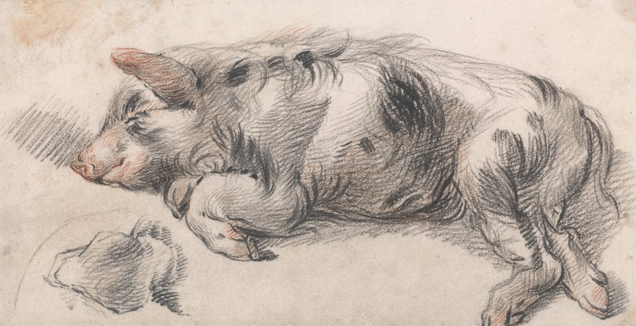 Cochon Endormi - James Ward