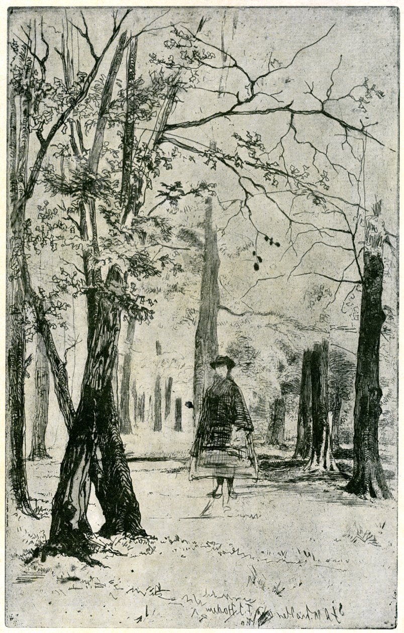 Le bois, 19ème siècle - James Abbott McNeill Whistler