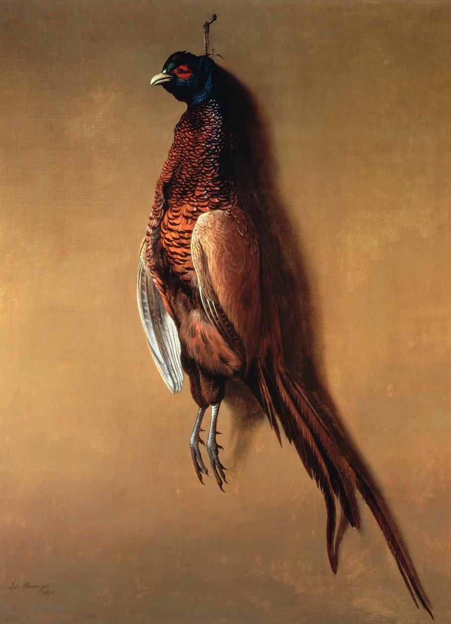 Faisan suspendu, 1822 - James Barenger