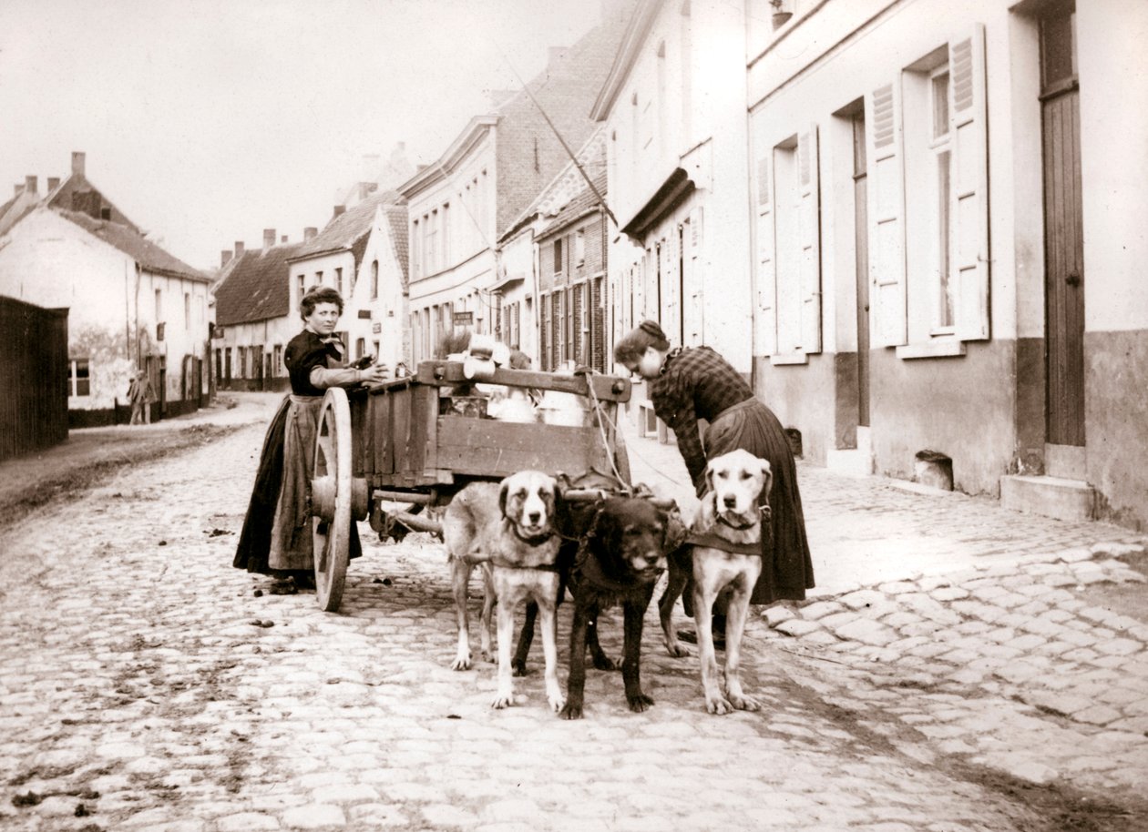 Femmes et charrette à chien, Anvers, 1898 - James Batkin