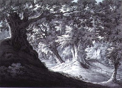 Beddington, Surrey - James Bourne