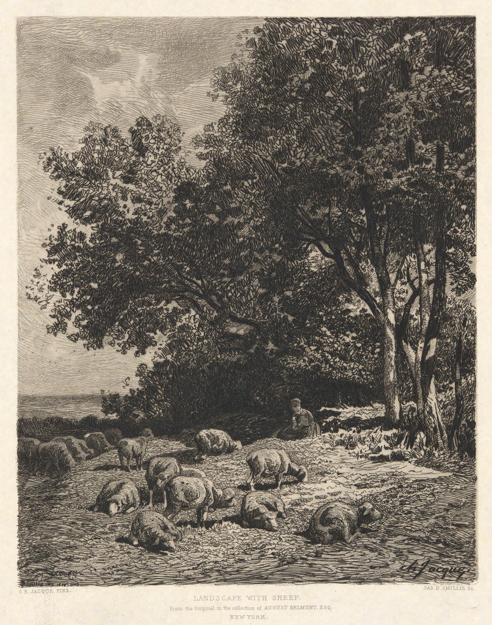 Paysage avec moutons, d