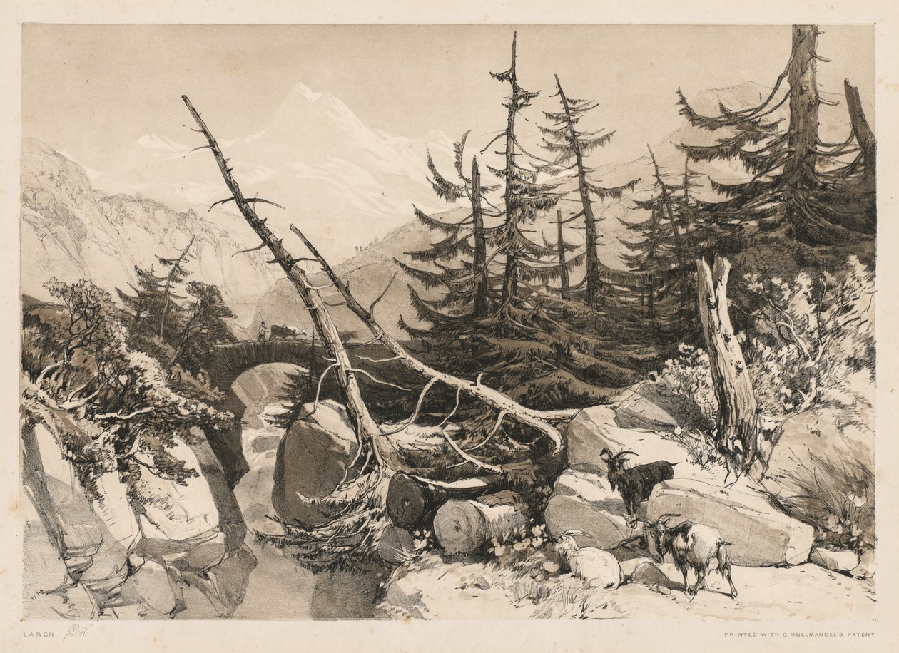 Pins et pont - James Duffield Harding