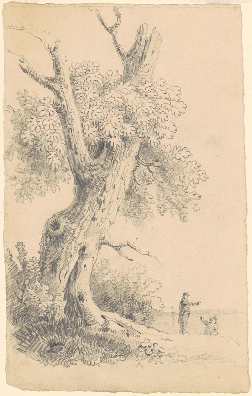 Arbre près du rivage - James Goodwyn Clonney