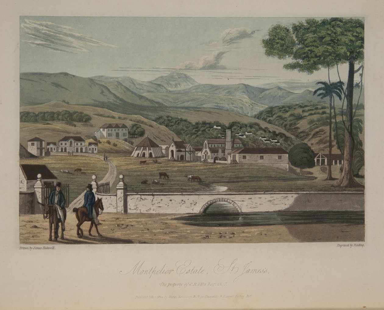 Domaine de Montpelier, St. James - James Hakewill