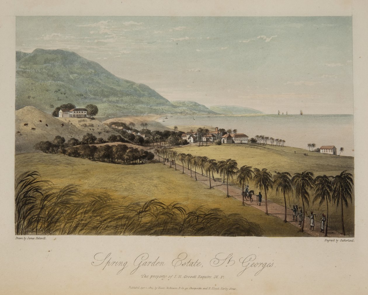 Domaine de Spring Garden, St. George