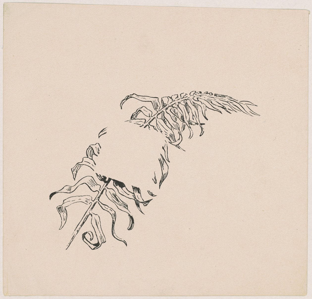 Branche - James Henry Moser
