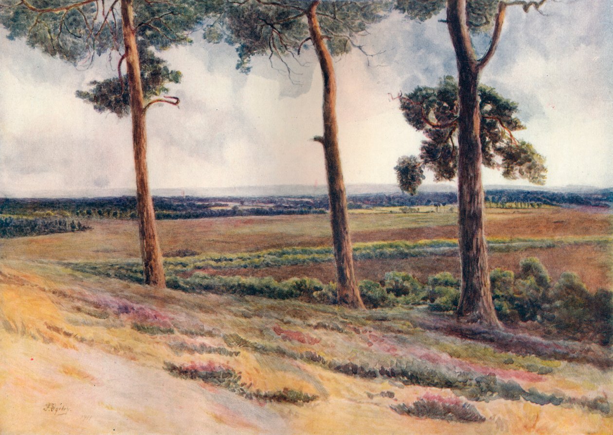 Vue de Staple Hill - James S Ogilvy