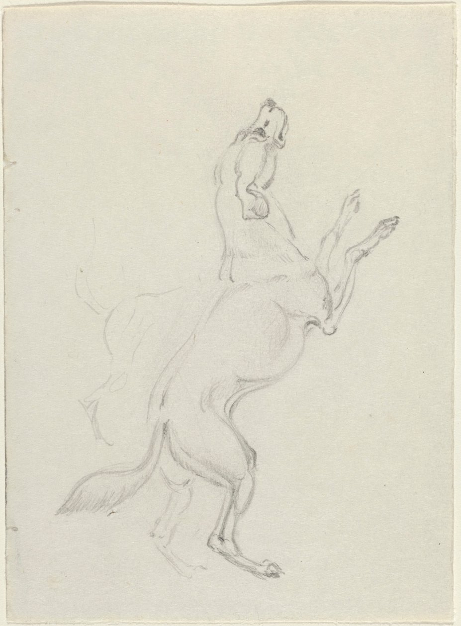 Un chien sautant - James Seymour