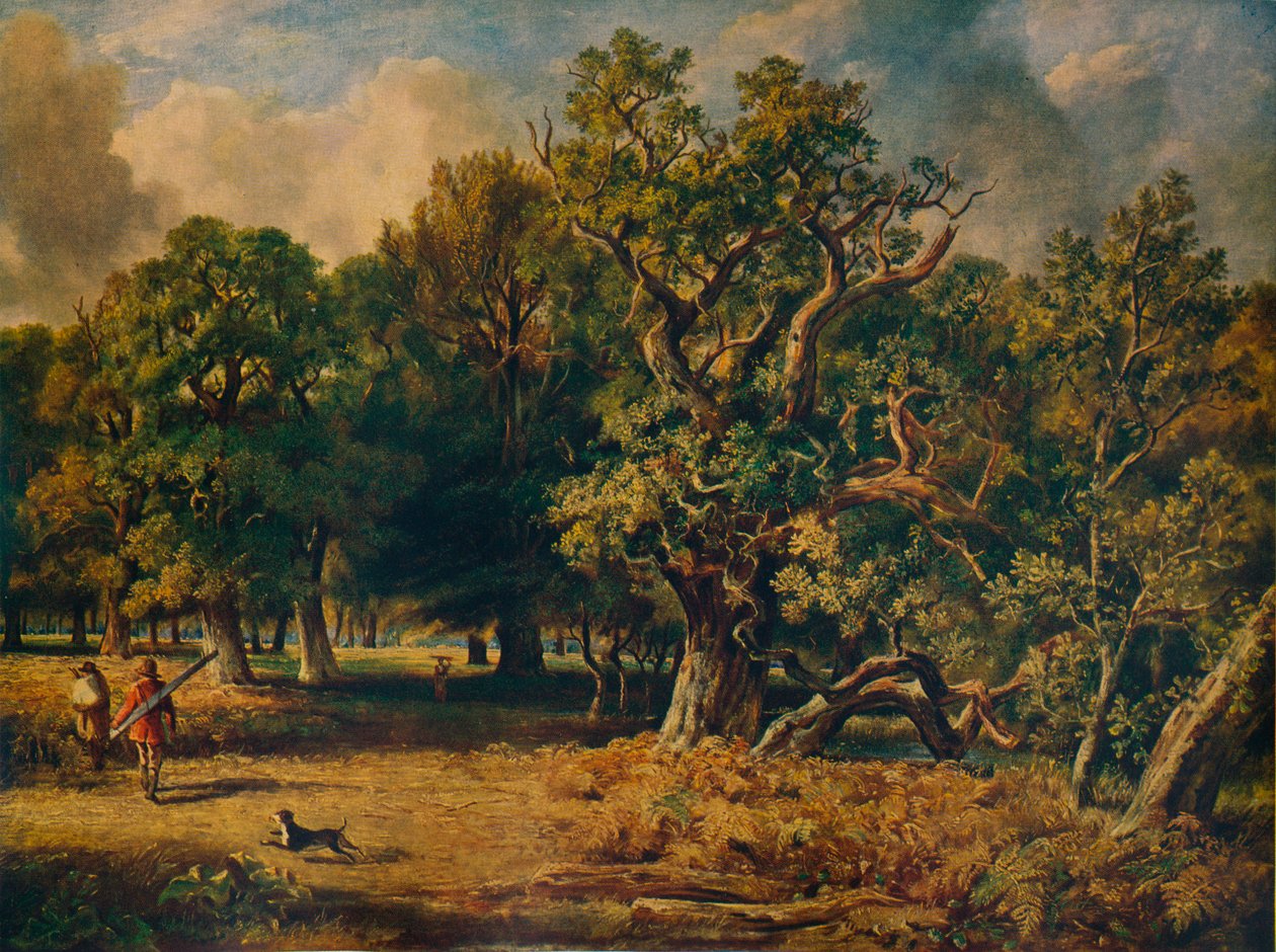 Forêt de Windsor, vers 1835 - James Stark