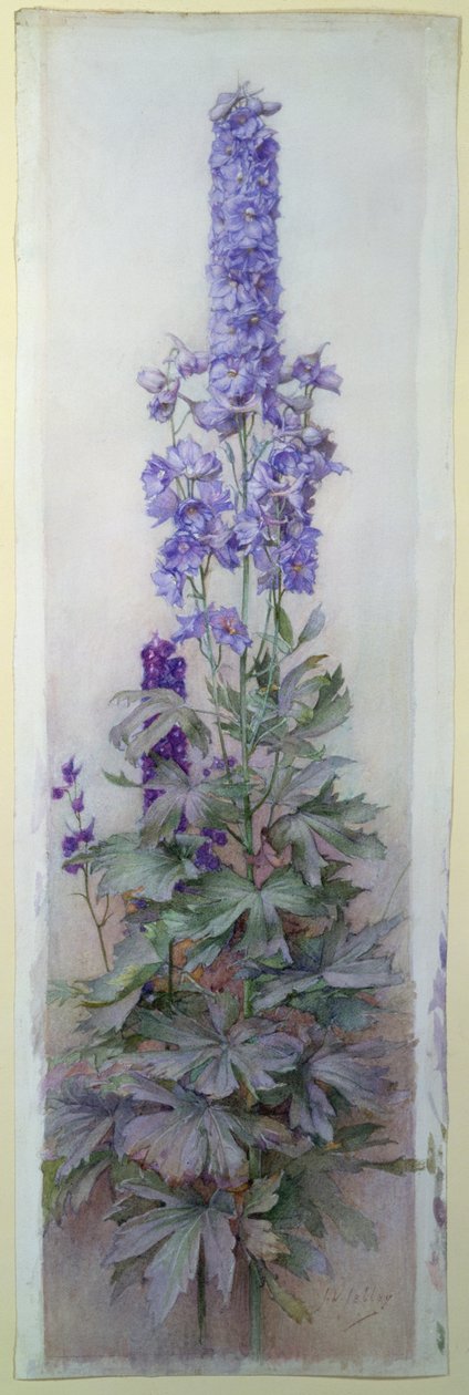 Delphiniums - James Valentine Jelley
