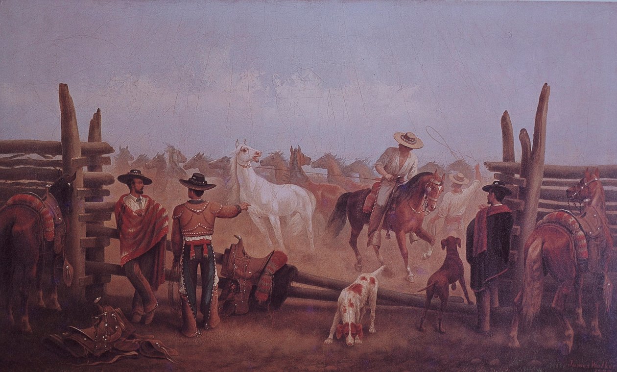 Rancheros Tejanos - James Walker