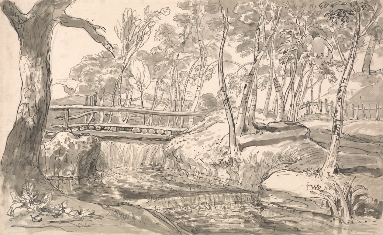 Paysage de rivière avec chute d