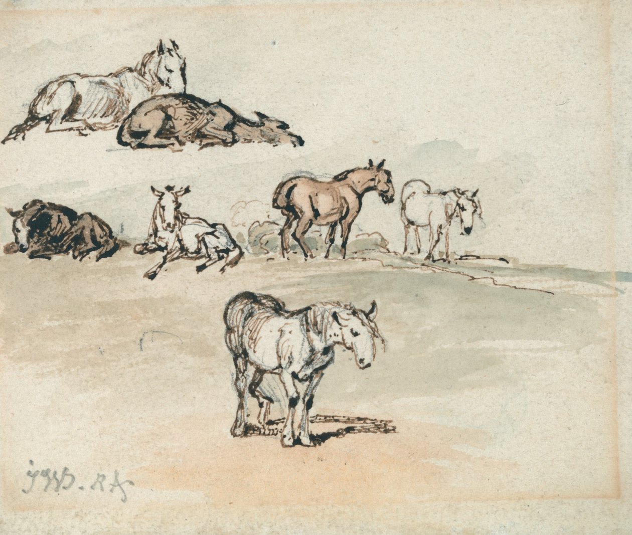 Études sur les chevaux - James Ward