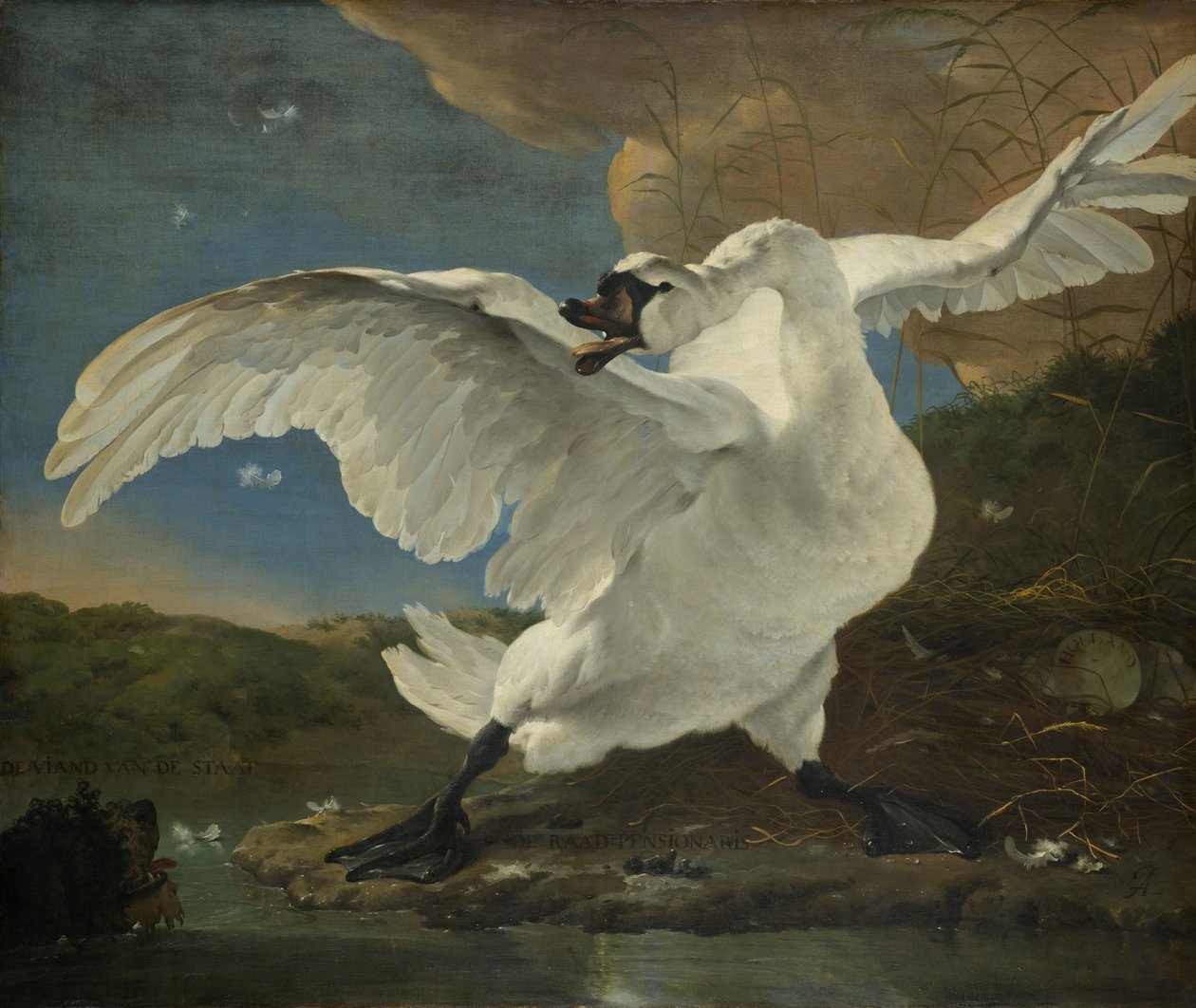 Le cygne menacé - Jan Asselijn