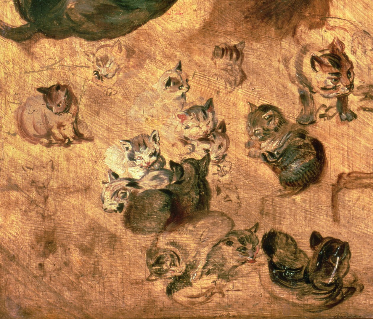 Étude de chats, 1616 (détail) - Jan the Elder Brueghel