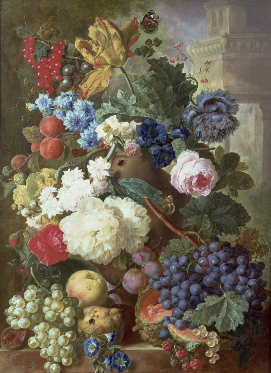 Fleurs et Fruits - Jan van Os