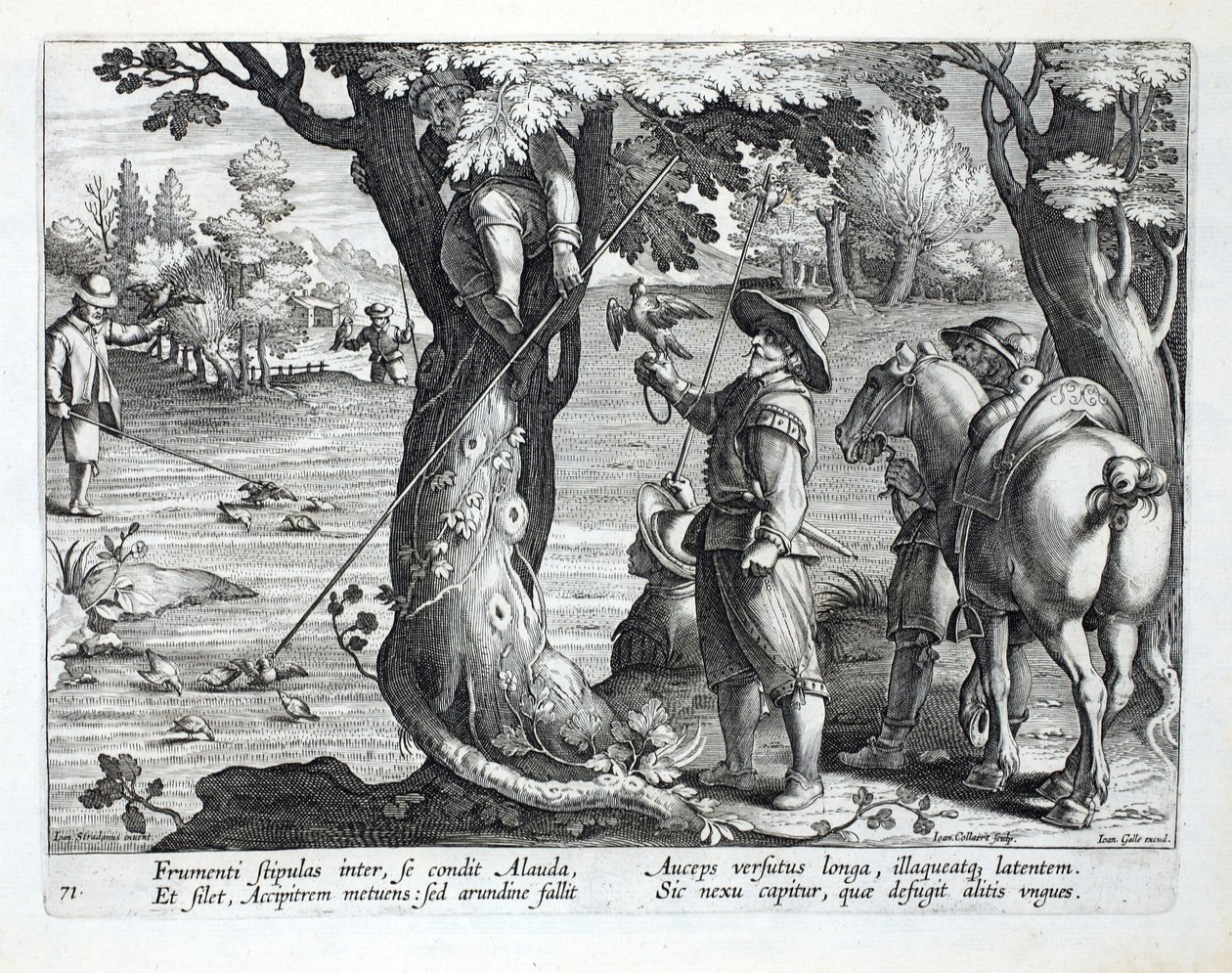 Oiseleurs utilisant des bâtons avec des anneaux pour attraper des oiseaux, illustration de 