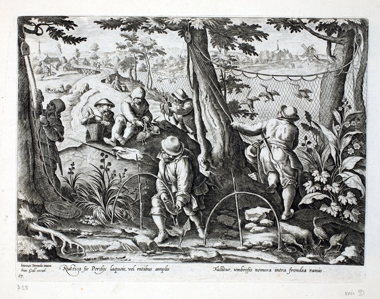 Oiseleurs utilisant des pièges pour attraper des perdrix, illustration de 