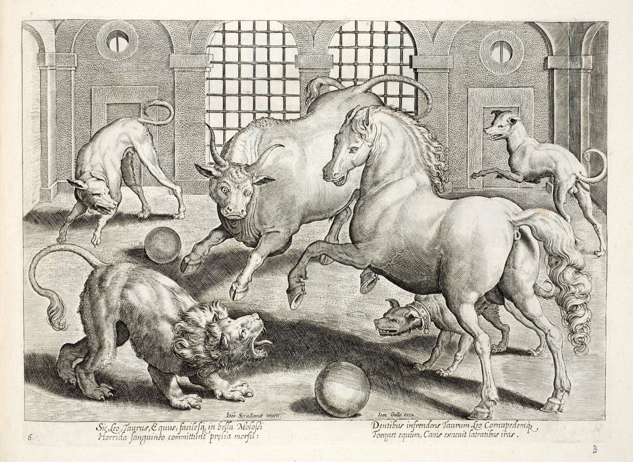 Combat féroce et sanglant entre un lion, un taureau et un cheval, entourés de chiens aboyant furieusement, illustration de 