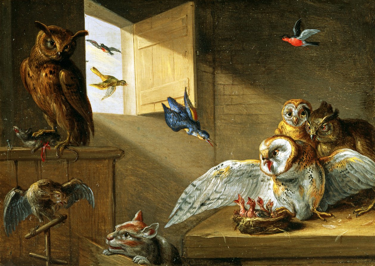 Une famille de hiboux, autres oiseaux et un chat - Jan van Kessel the Elder