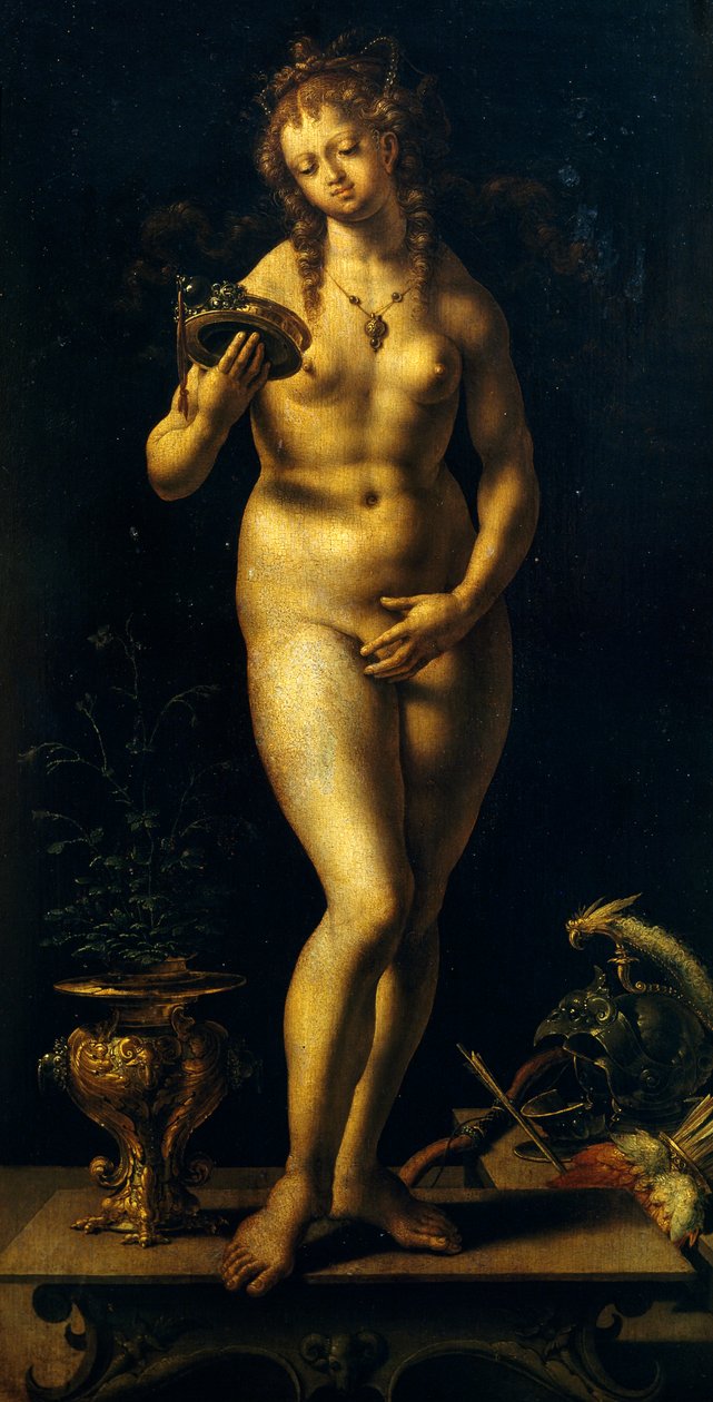 Vénus - Jan (c.1472 c.1533) Gossaert