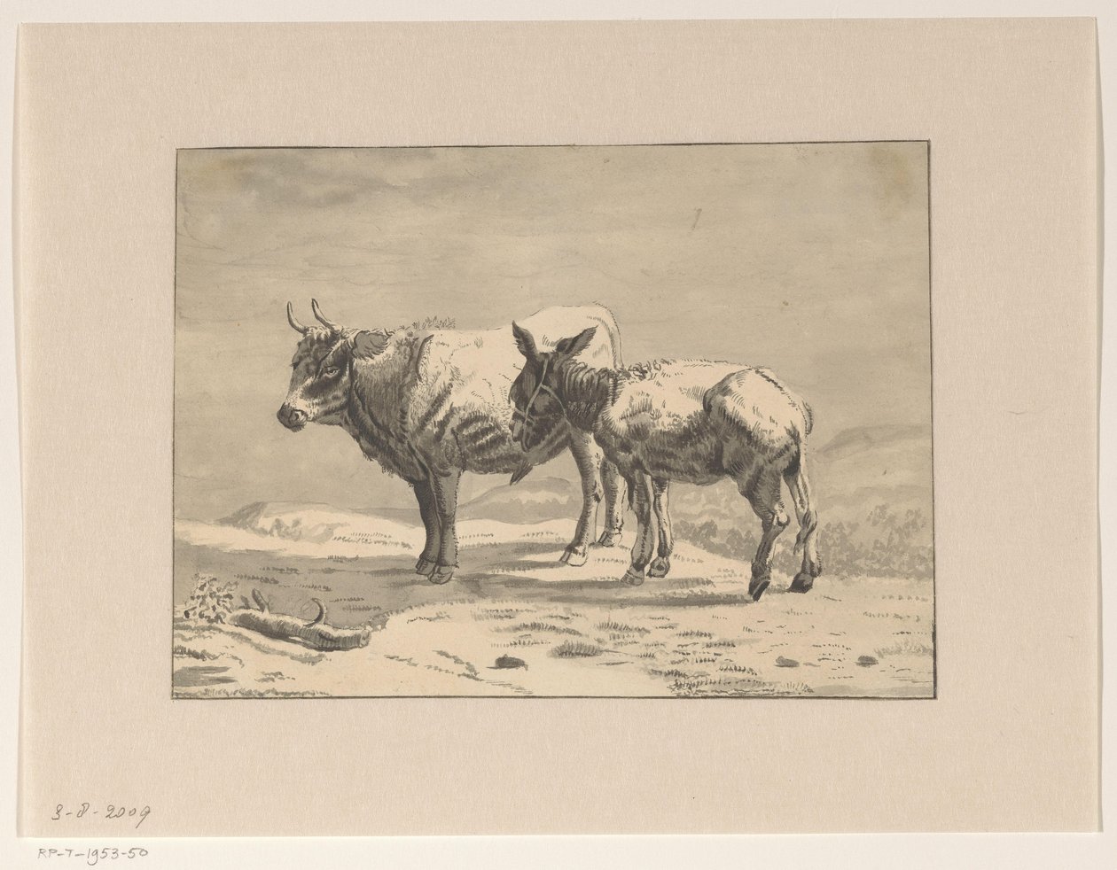 Taureau et un âne - Jan Bedijs Tom