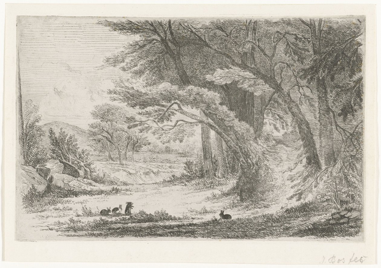 Lisière de forêt avec des lapins - Jan Bos Wz. (signed by artist)