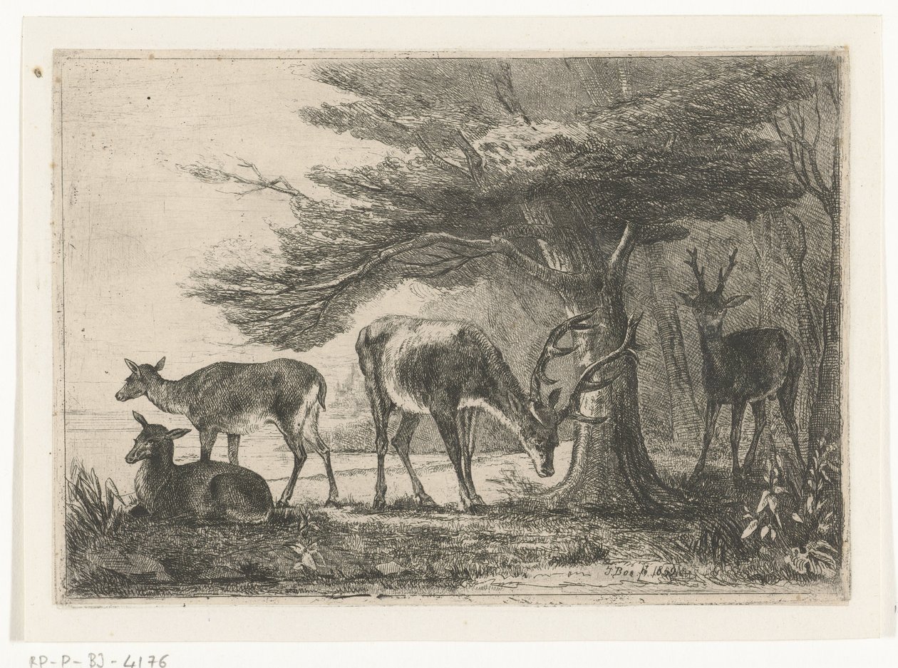 Lisière de forêt avec des cerfs - Jan Bos Wz.